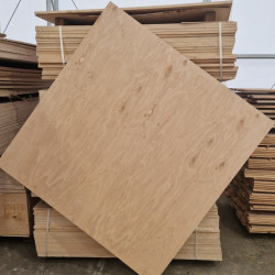 Plywood 1525x1525 12 mm